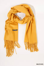 Load image into Gallery viewer, Cashmere Scarf with Fringe Detail